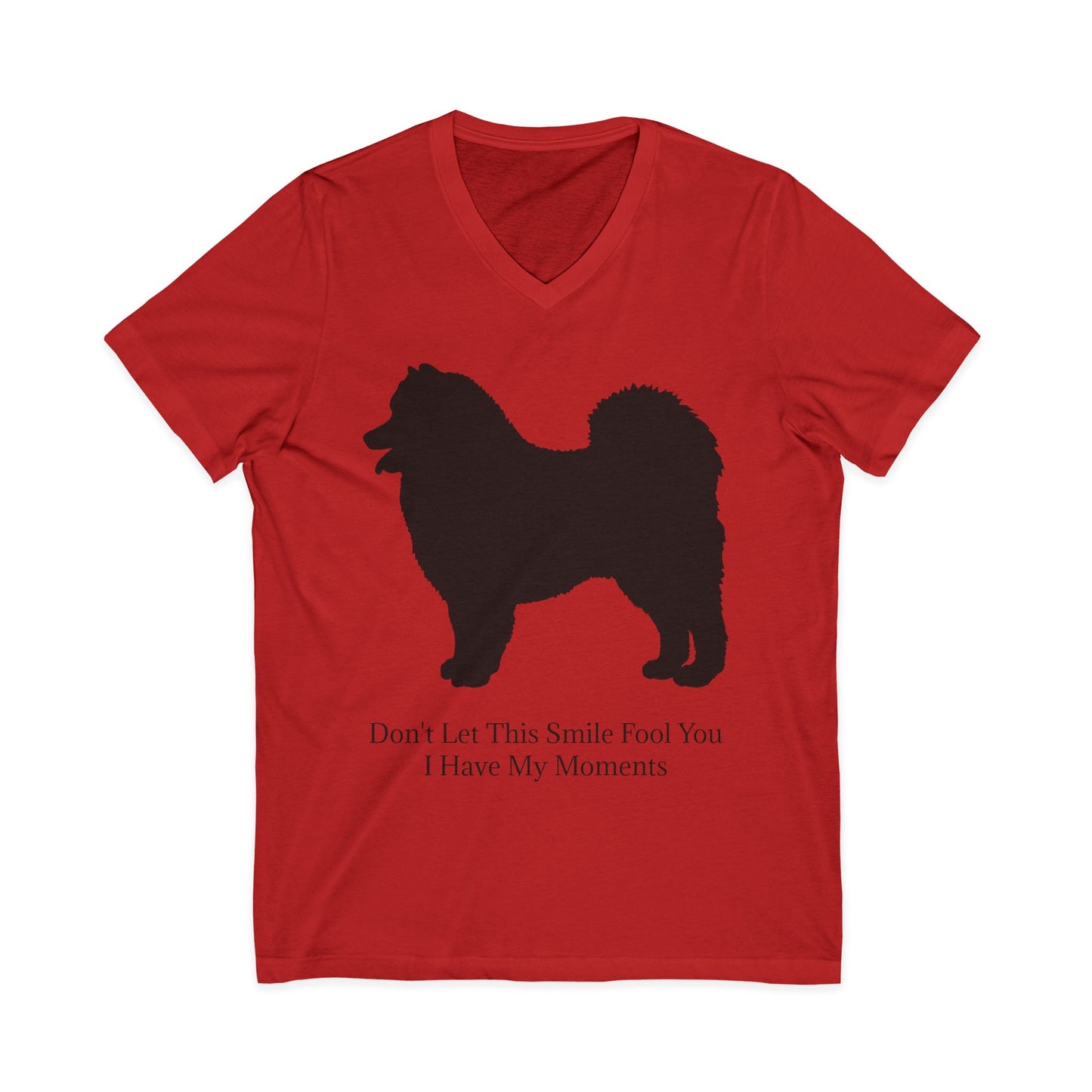 Fool You Unisex Short Sleeve V-Neck Tee