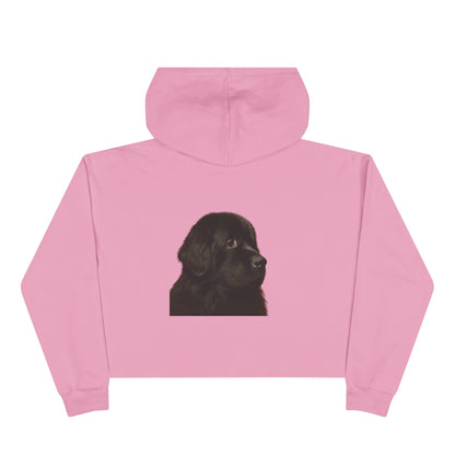 Newfie Head Women's Crop Hoodie