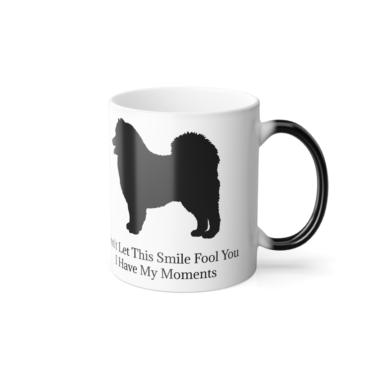 Fool You Color Changing Mug