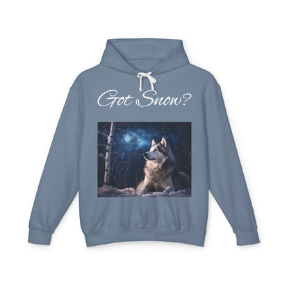 Got Snow? Unisex Lightweight Hoodie