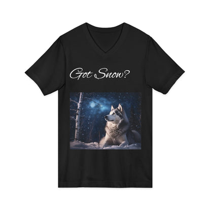 Got Snow? Unisex Short Sleeve V-Neck Tee