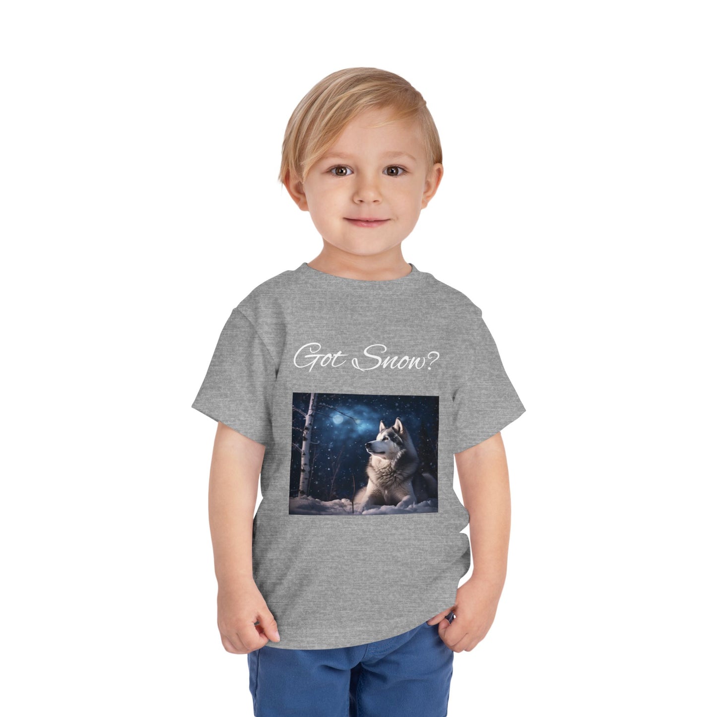 Got Snow? Toddler Unisex Short Sleeve Crewneck Tee