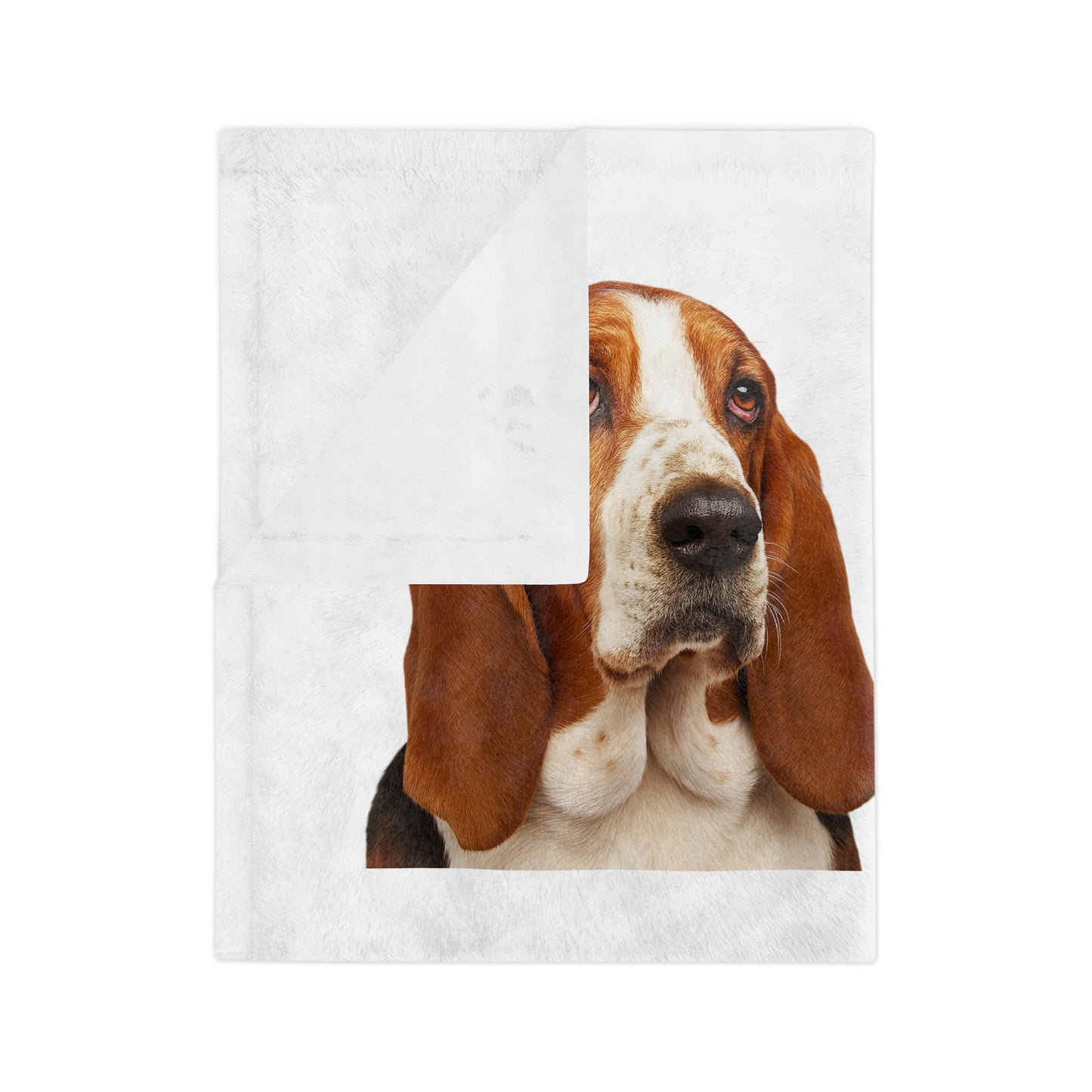 Basset Head Velveteen Microfiber Blanket