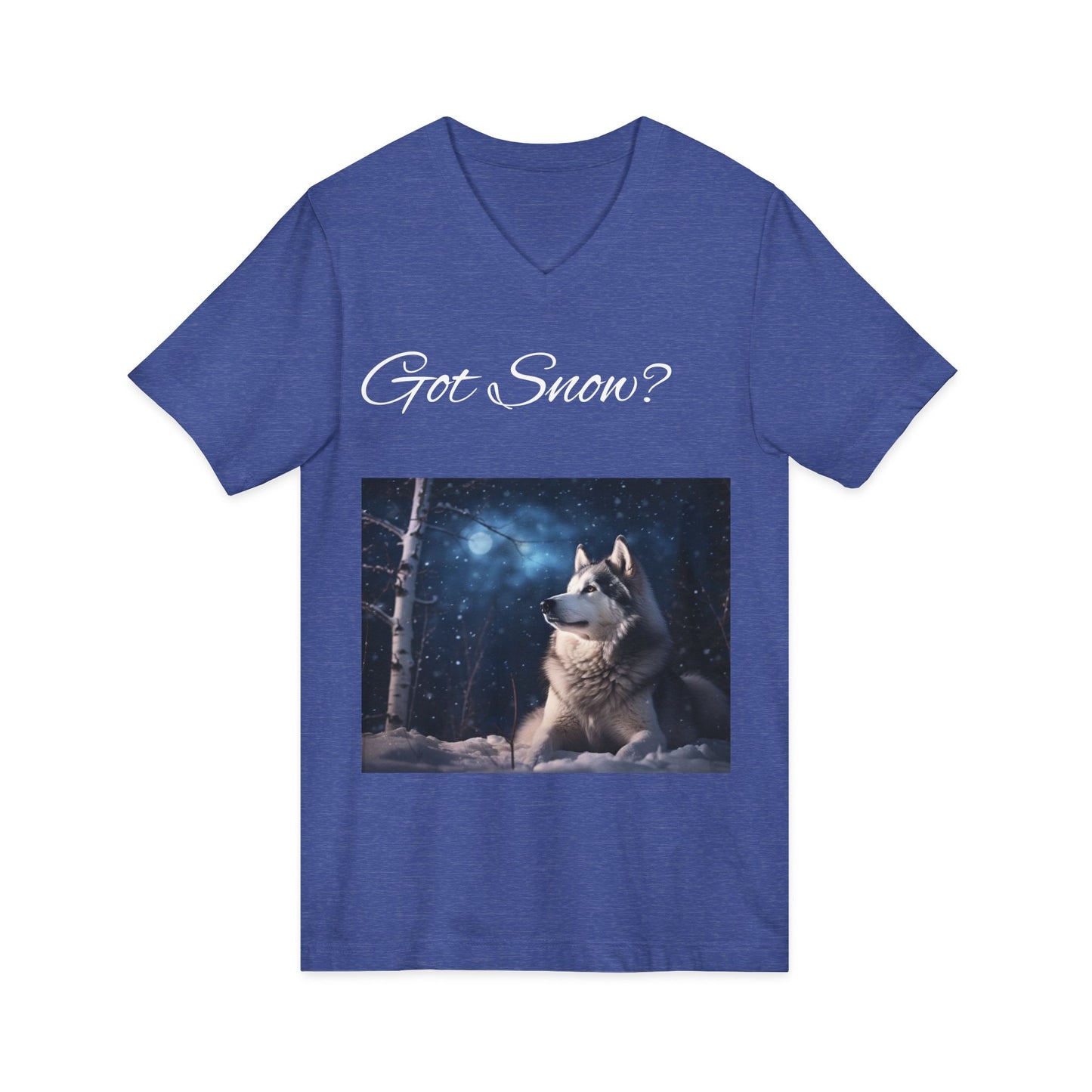 Got Snow? Unisex Short Sleeve V-Neck Tee