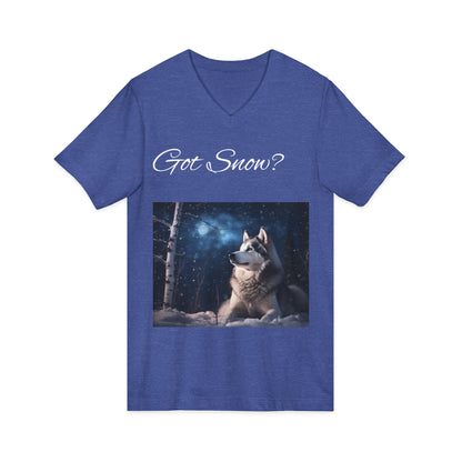 Got Snow? Unisex Short Sleeve V-Neck Tee