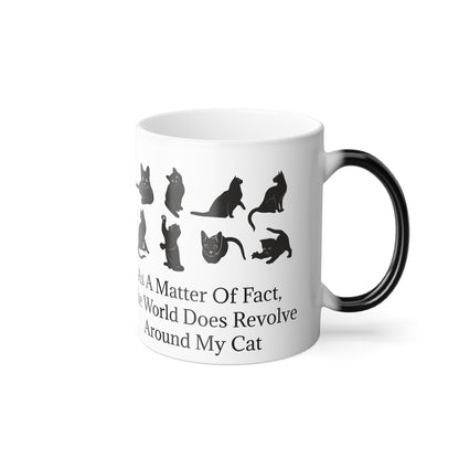 Matter Of Fact Cat Color Changing Mug