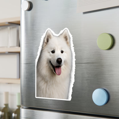 Samoyed Head Vinyl Decal