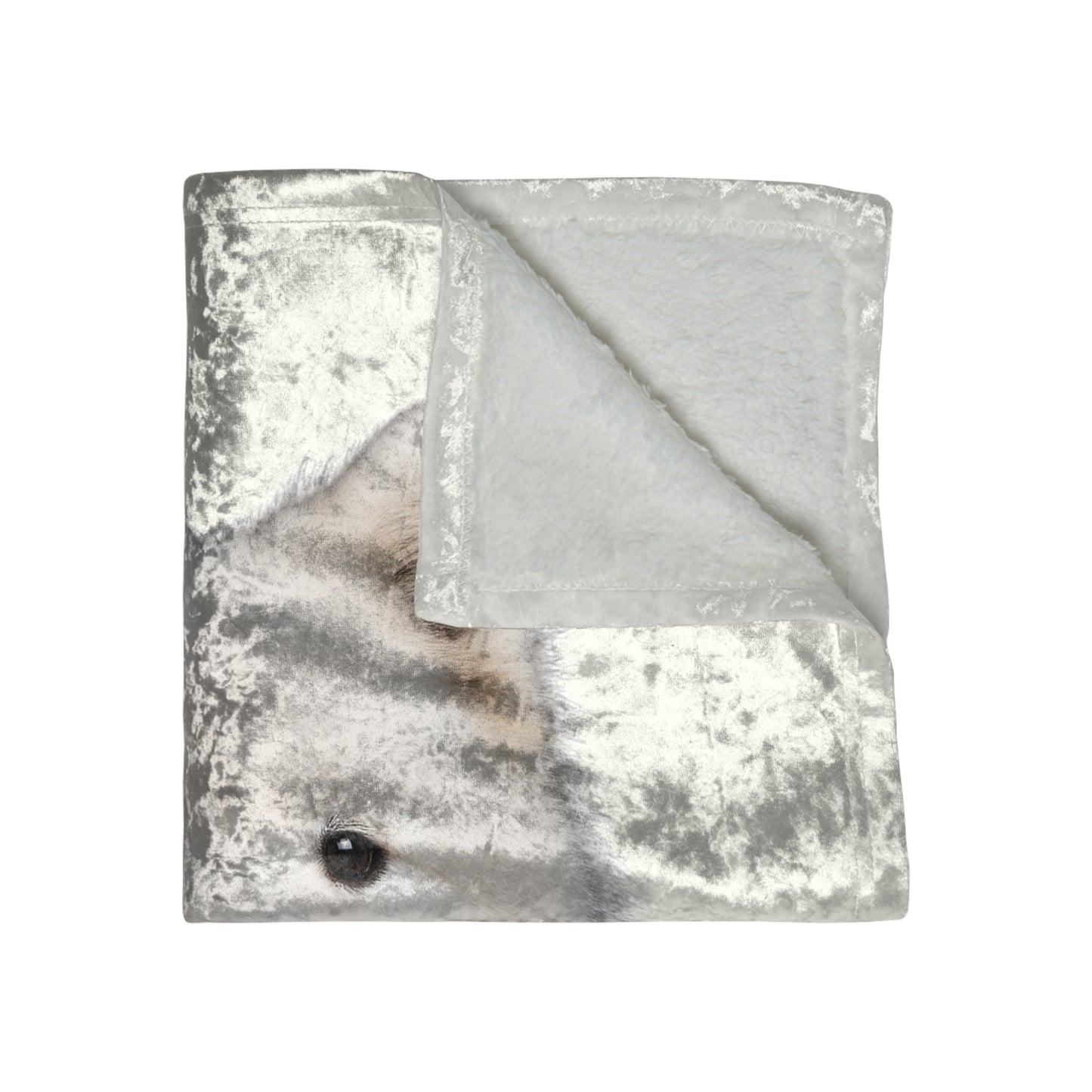 Samoyed Head Crushed Velvet Blanket
