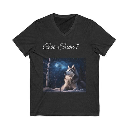 Got Snow? Unisex Short Sleeve V-Neck Tee