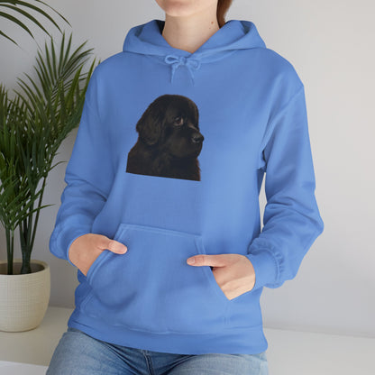 Newfie Head Unisex Hoodie